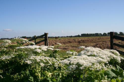 'T Wapen Van Middelie Esterno foto