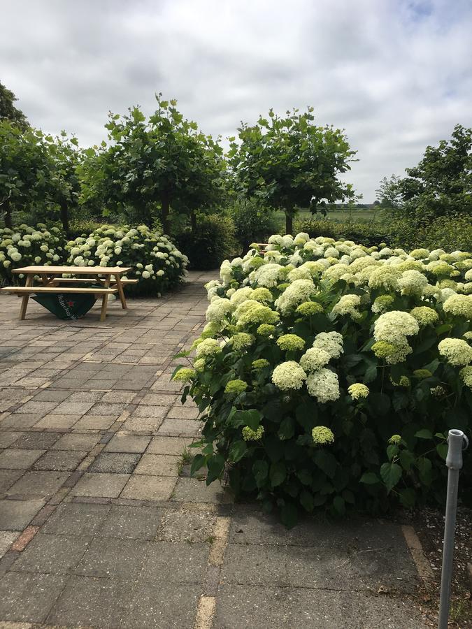 'T Wapen Van Middelie Esterno foto